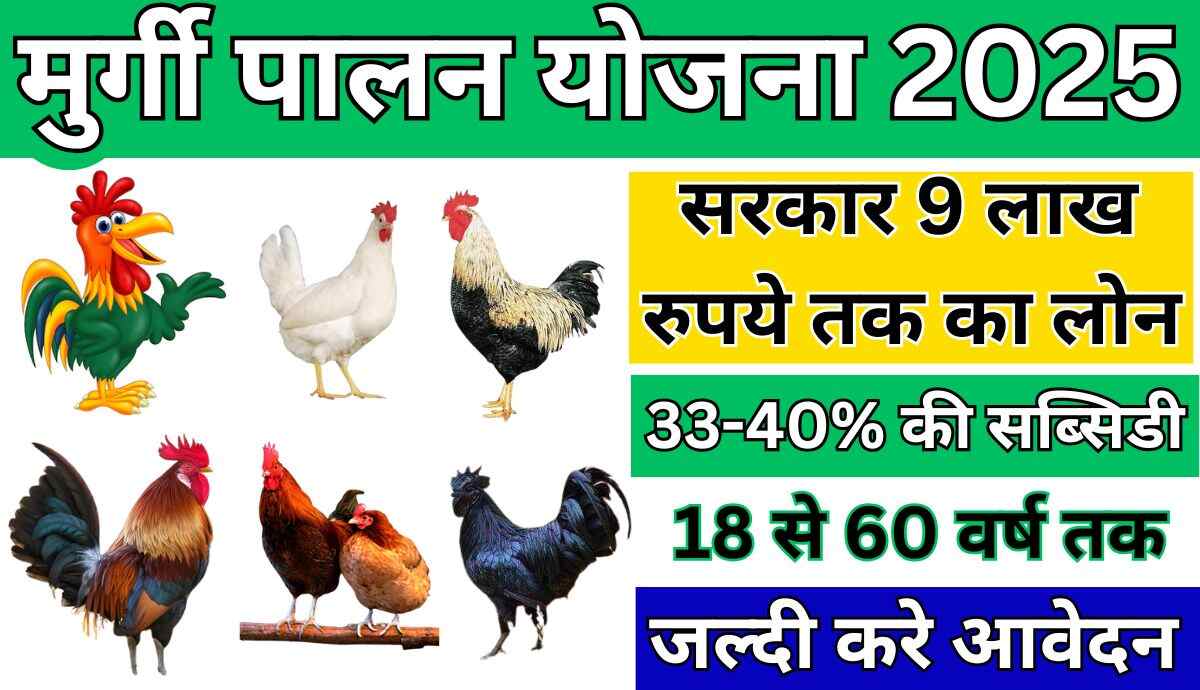 Murgi Palan Yojana 2025