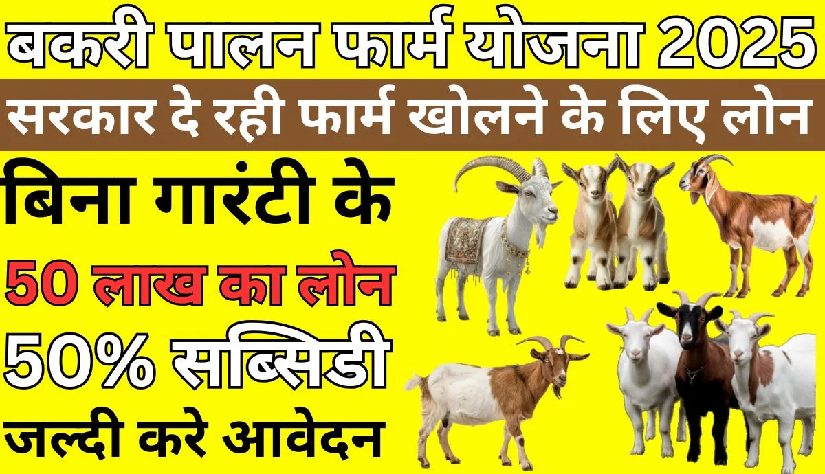 Bakri Palan Farm Yojana 2025